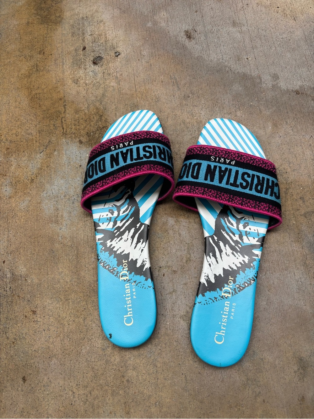 Christian Dior Dway Dioriviera Blue Pink Slides Sandals size 39.5